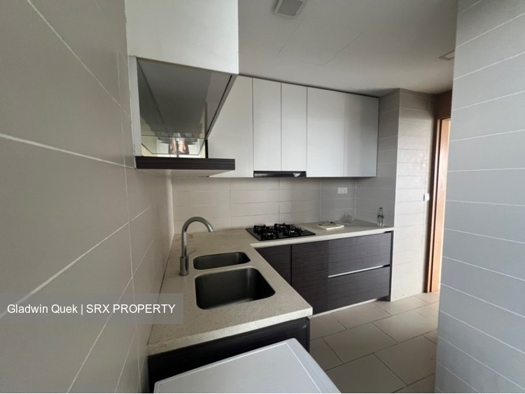 Skysuites 17 (D12), Apartment #481742071